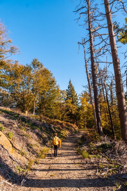 Um jovem caminhante em um pôr do sol de outono em uma rota por uma bela floresta, conhecendo a natureza