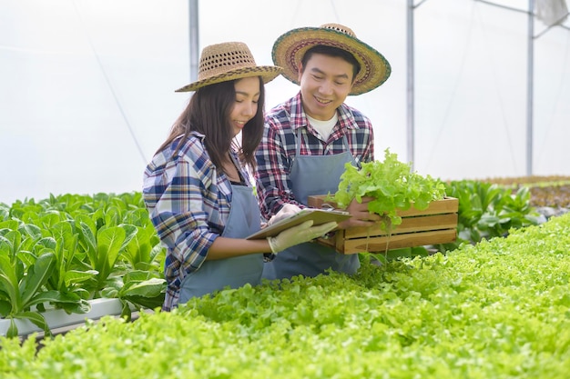 Um jovem casal de agricultores trabalhando em uma fazenda hidropônica com alimentos limpos e um conceito de alimentação saudável