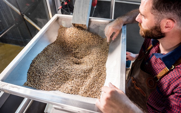 Foto um jovem cervejeiro com avental de couro controla a moagem de sementes de malte em um moinho em uma cervejaria moderna