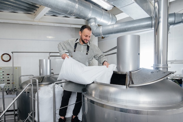 Um jovem cervejeiro despeja malte para cerveja em um recipiente