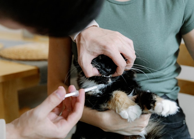 Um jovem dá remédio a um gato sentado nos braços de uma menina