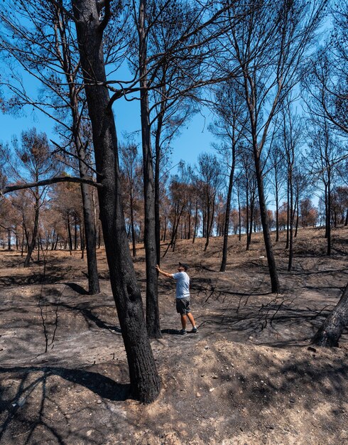 Um jovem em uma floresta queimado em um incêndio florestal mudança climática seca verão