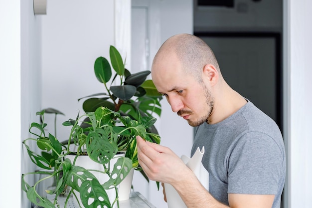 Um jovem franzindo a testa examina as folhas doentes de uma planta de casa enquanto rega a jardinagem interna