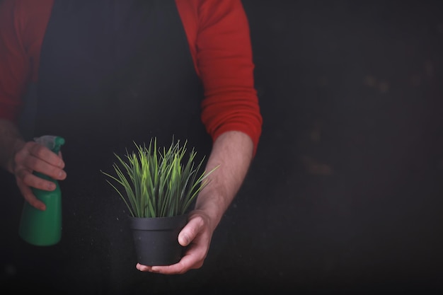 Um jovem jardineiro cuida de mudas e corta flores. jardineiro com uma bandeja de flores. homem que cuida do plantio de mudas na primavera.