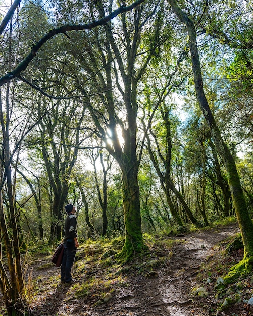 Um jovem olhando para uma bela árvore nas florestas do monte arno, no município de mutriku em gipuzkoa país basco espanha