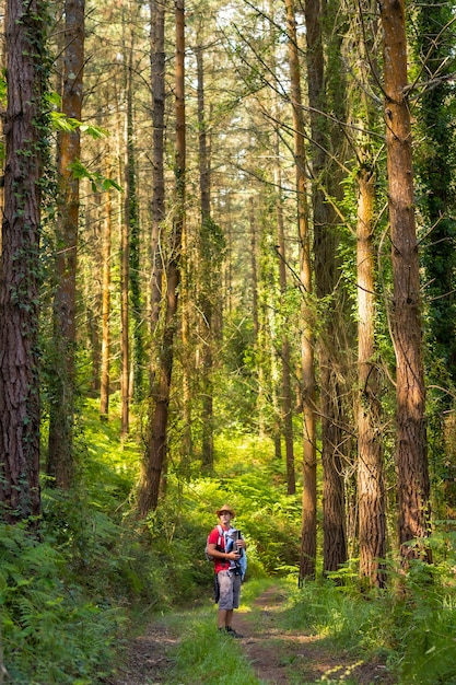 Um jovem pai com um chapéu e com o filho na mochila e olhando para os pinheiros na floresta