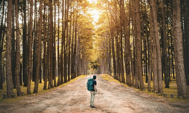 Um jovem rapaz com um viajante de mochila em pé na floresta. Vista traseira