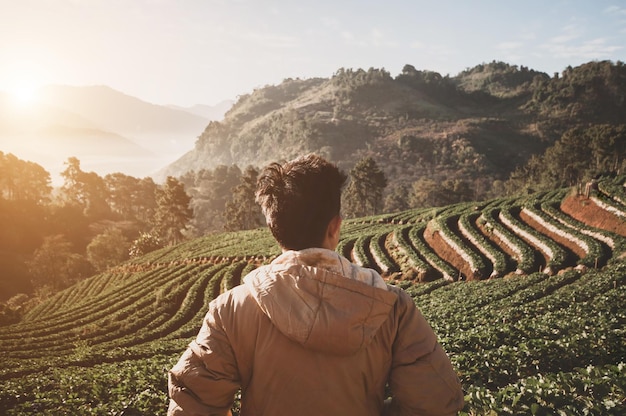 Um jovem turista está sozinho no topo da montanha ele está de pé e observando a vista do nascer do sol sobre o topo da montanha e a plantação de chá Ele se sentiu feliz por viajar nos fins de semana