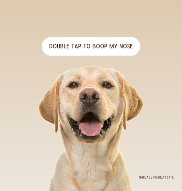 Um laboratório amarelo com uma foto de um cão com as palavras "double tap to my ear"