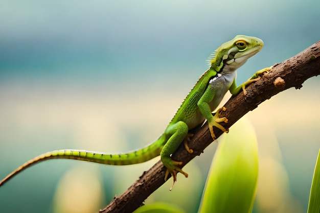 Um lagarto verde senta-se em um galho com fundo azul.