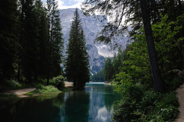 Um lago alpino tranquilo, cercado por pinheiros imponentes e montanhas majestosas à distância