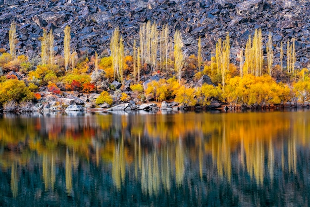 Um lago com árvores e a água refletindo as cores do outono.