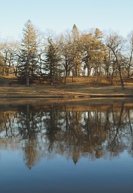 Um lago com árvores e um lago ao fundo