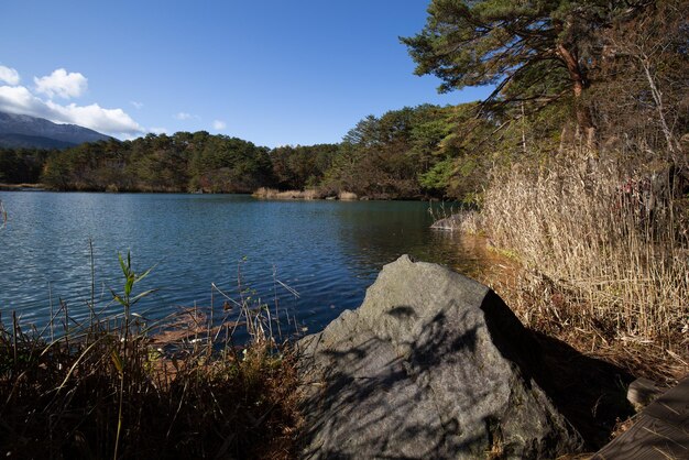 Um lago com céu azul e árvores