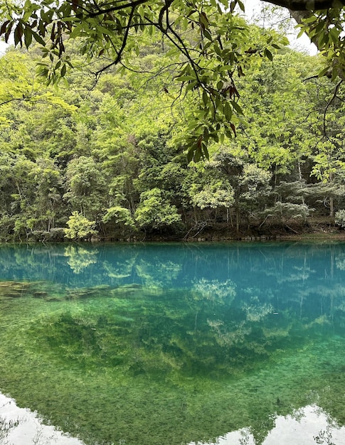 Foto um lago com uma superfície de água azul e árvores ao fundo