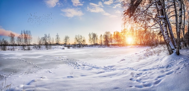 Um lago congelado e árvores cobertas de neve nas margens de uma noite ensolarada de inverno