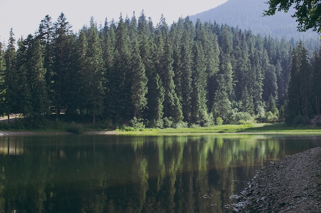 Um lago nas montanhas com árvores