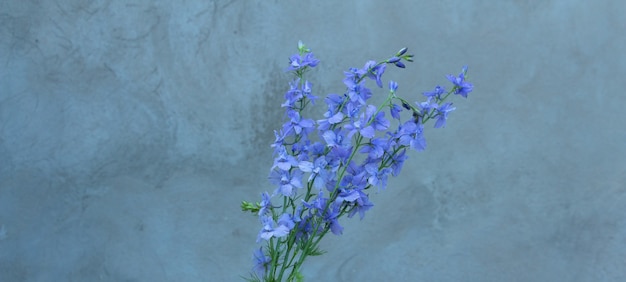 Um lindo buquê de flores para casa delphinium bluepurple em um espaço de fundo cinza para cópia de texto ...