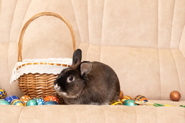 Um lindo coelho marrom da Páscoa senta-se em um sofá com ovos pintados