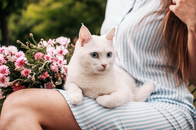 Um lindo gato branco com olhos azuis andando na grama com flores