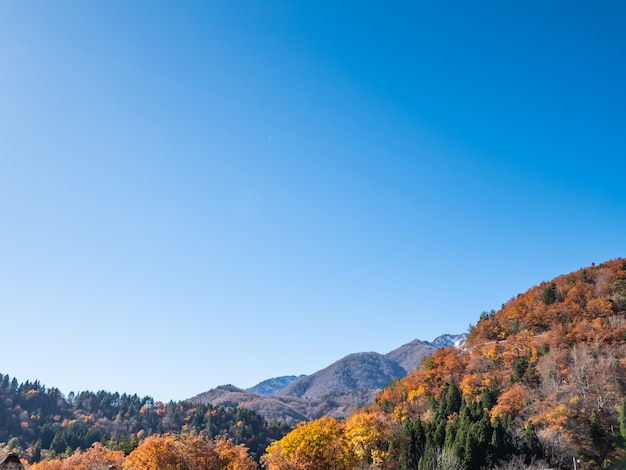 Um lindo outono e primavera no Japão