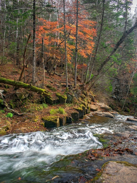 Um lindo riacho de montanha fluindo entre grandes pedregulhos cobertos de musgo na floresta de taiga