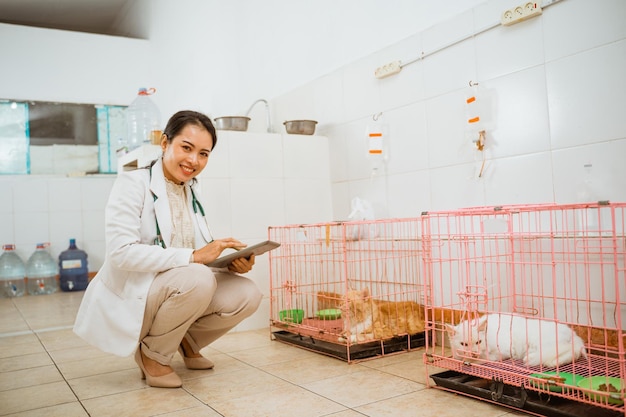 Um lindo veterinário agachado ao lado da gaiola de gatos e sorrindo enquanto verificava sua saúde médica na clínica de animais de estimação