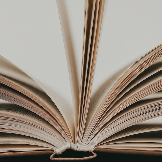 um livro aberto a página que tem as páginas abertas