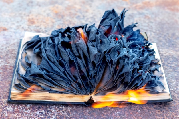 Um livro aberto com páginas queimadas e chamas
