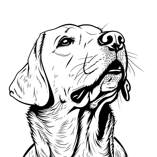 Um livro de colorir simples ilustração de arte de linha de um labrador retriever cães cabeça fundo branco v 6 Job ID 1828d612b7444c5397b988a38ecb2546