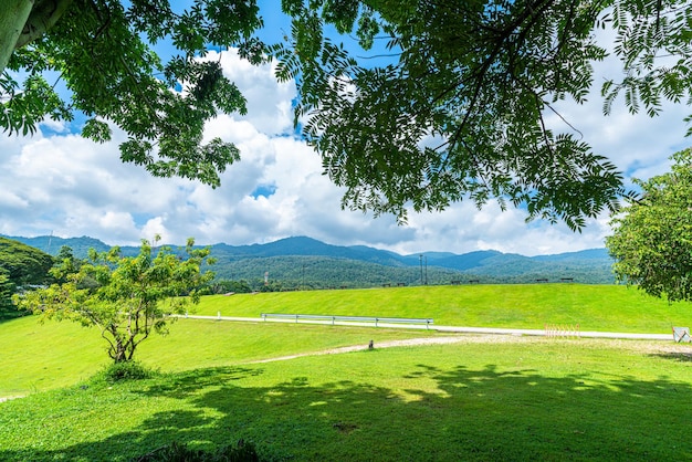 Um local público para viagens de lazer gramado amplo e grande paisagem de árvores no parque para relaxar com a floresta natural vista para a montanha fundo de céu nublado de primavera com nuvem branca na universidade de chiang mai