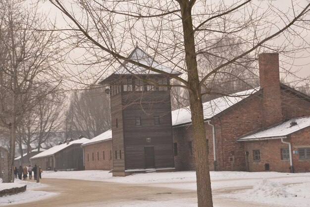 Um lugar de maldade e desumanidade campo de extermínio de auschwitz