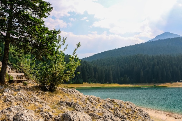 Um lugar para meditação na natureza Lago Negro no Parque Nacional Durmitor Montenegro