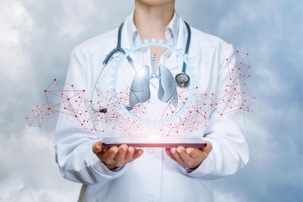 Um médico segurando um modelo de um modelo de pulmão