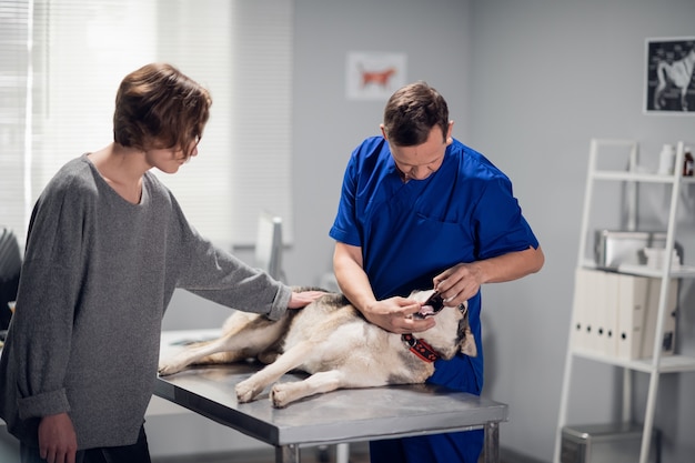 Um médico veterinário examinando um cachorro em sua clínica.