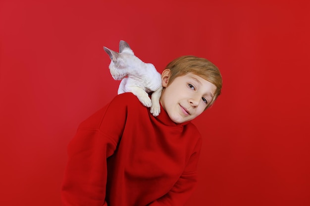 Um menino alegre em um agasalho vermelho com um pequeno gatinho branco com olhos azuis sentado nos ombros sobe nos ombros do menino