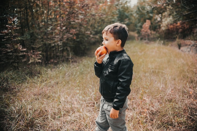 Foto um menino alegre na floresta de outono comendo uma maçã do primeiro ano