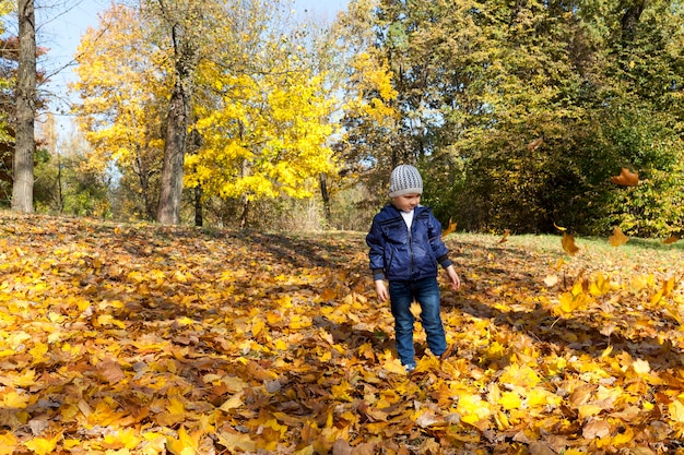 Um menino caminha em um parque de outono com folhas de árvores caindo