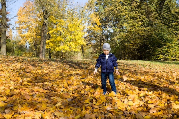 Um menino caminha no parque de outono