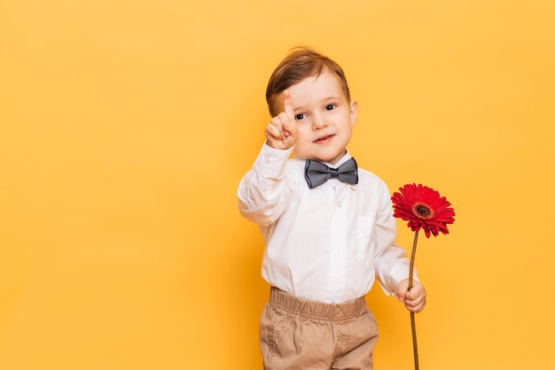 Um menino de calça de camisa branca e gravata borboleta em um fundo amarelo segura uma flor gerbera nas mãos Um presente para minha avó mãe