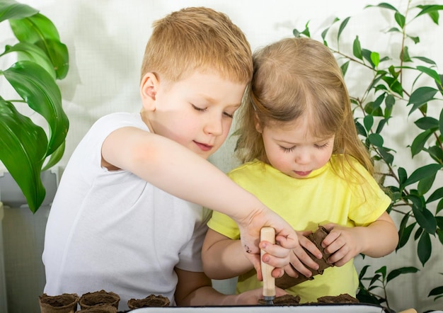 Um menino e uma menina estão plantando sementes em um vaso de plantas conceito de jardinagem doméstica