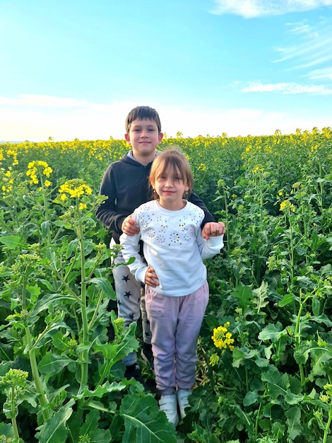 Um menino e uma menina parados em um campo de canola.