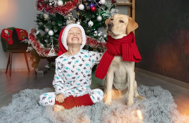 Um menino entusiasmado com um chapéu de Papai Noel sentado com um labrador perto da árvore de Natal