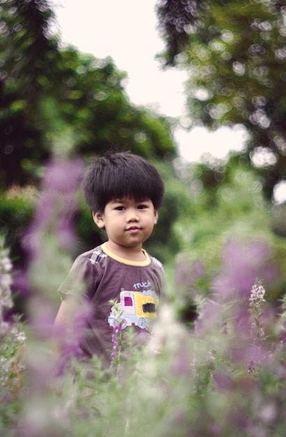 Um menino está em um campo de flores roxas.