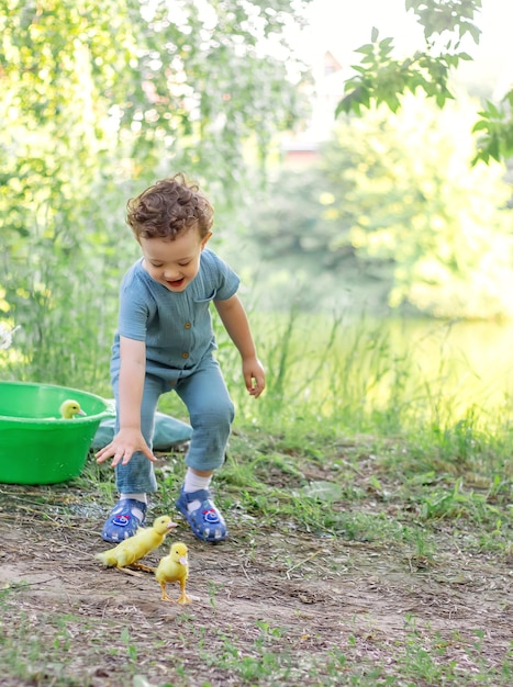 Um menino na rua está brincando com patinhos Sessão de fotos Felicidade InfânciaxAxA