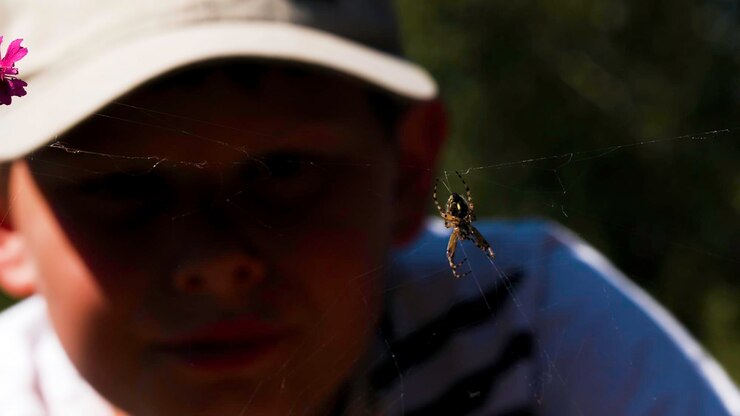 Foto um menino olha para uma aranha num dia ensolarado criativo uma criança com um boné olha para um inseto que está sentado