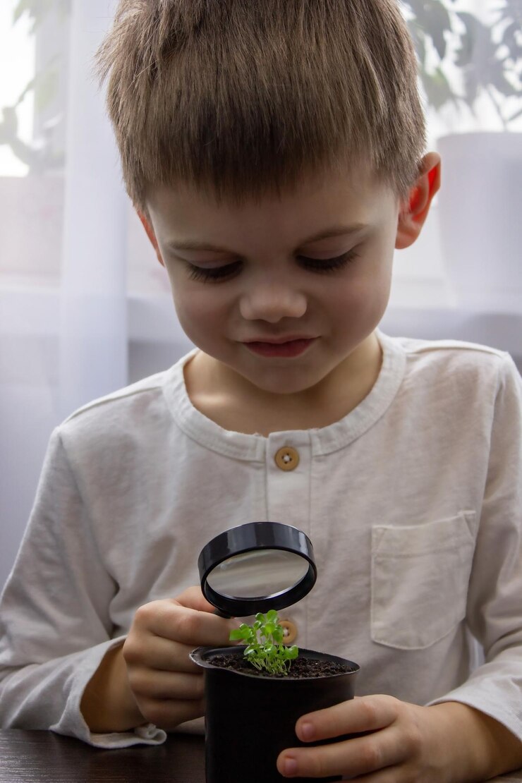 Um menino olha para uma flor em um vaso através de uma lupa