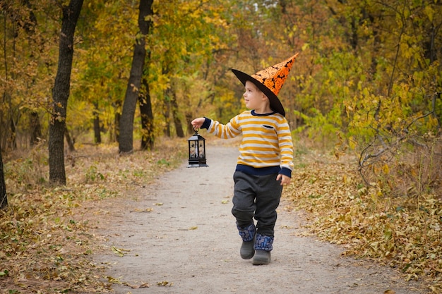 Um menino pré-escolar caminha com uma lanterna na floresta de outono de Halloween.