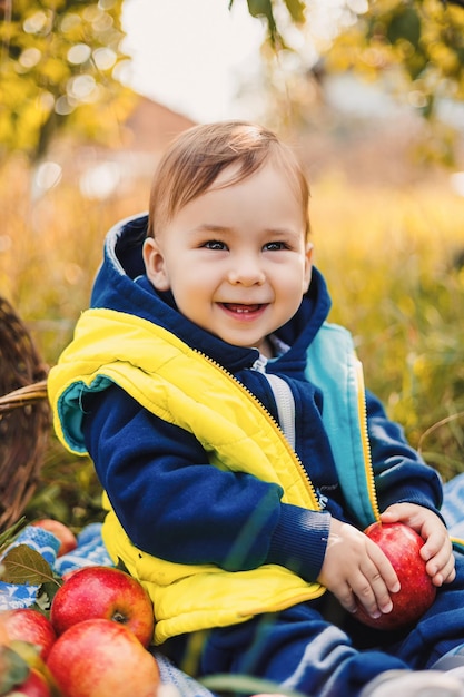 Um menino sorridente em um pomar de maçãs senta e segura uma estação de colheita de maçãs