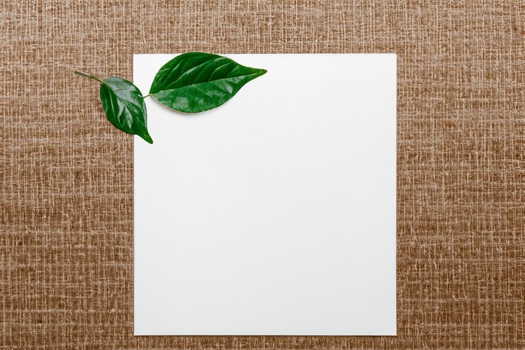 Foto um modelo de papel branco harmoniosamente adornado com uma folha fresca revelando uma fusão delicada
